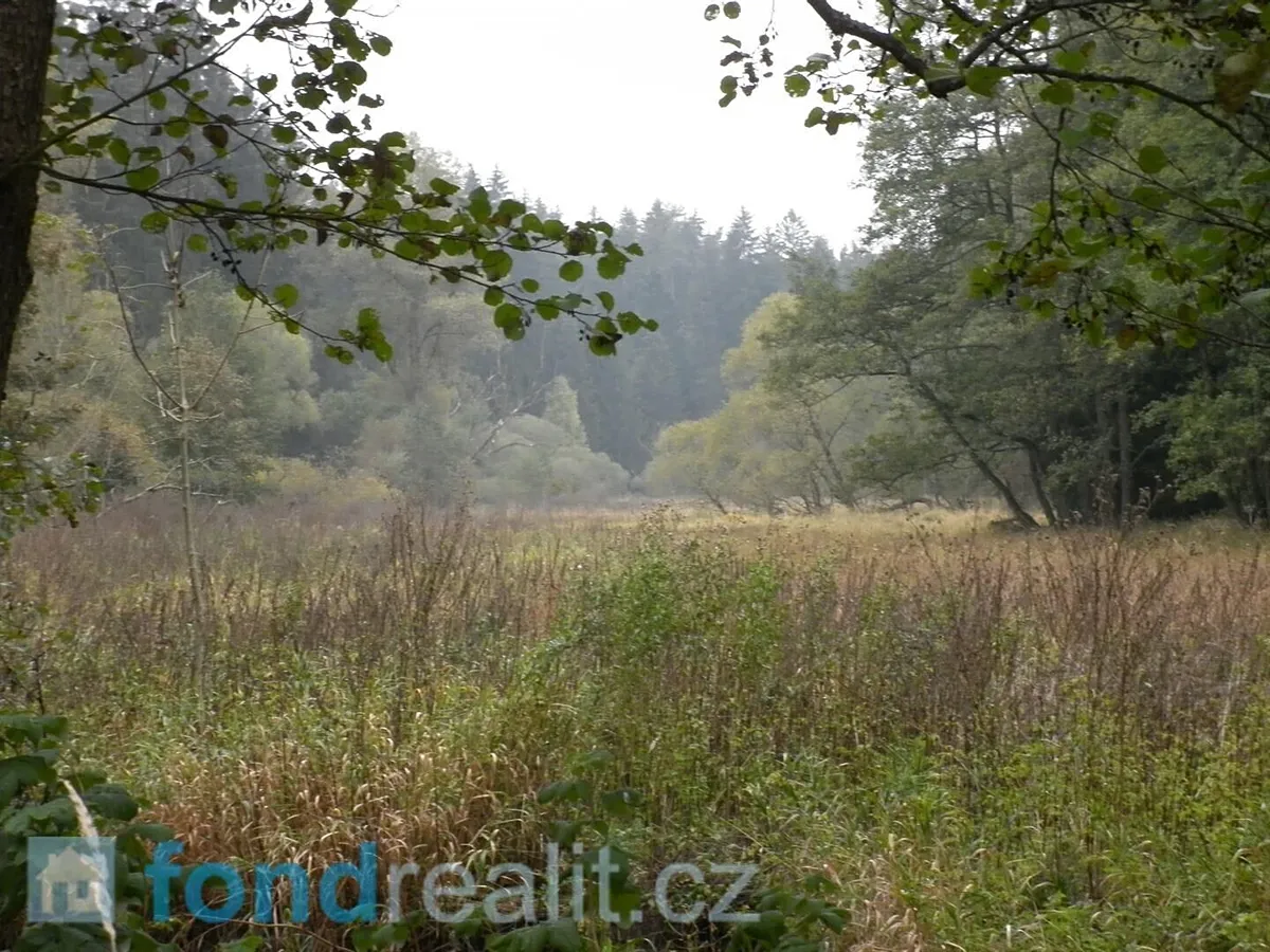 Prodej pole 42411 m²